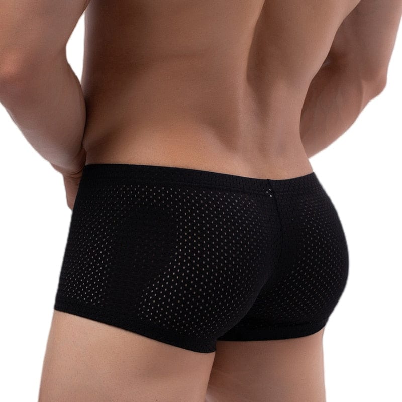 
                  
                    Black / M - (27-30") Breathable Mesh Shorts Boxers Briefs INVI-Expressionwear
                  
                