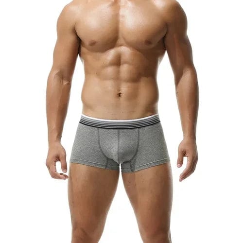 
                  
                    Gray / M - US size 28-30" Men's Low Waist Boxer Sports Briefs INVI-Expressionwear
                  
                