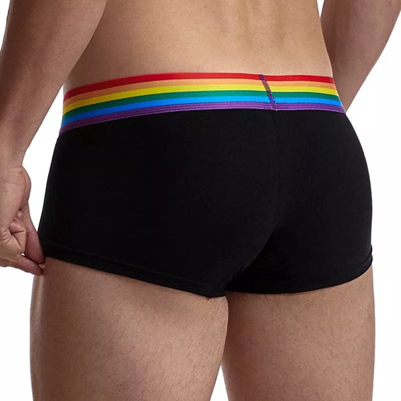 
                  
                    JOCKMAIL Rainbow Black Boxer Brief Underwear INVI-Expressionwear
                  
                
