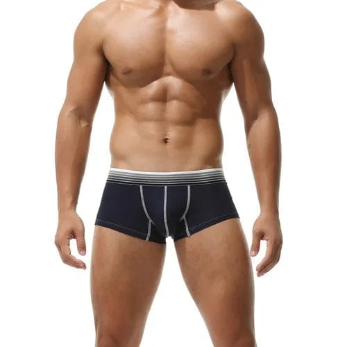 
                  
                    Navy / M - US size 28-30" Men's Striped Low Waist Boxer Sports Briefs INVI-Expressionwear
                  
                