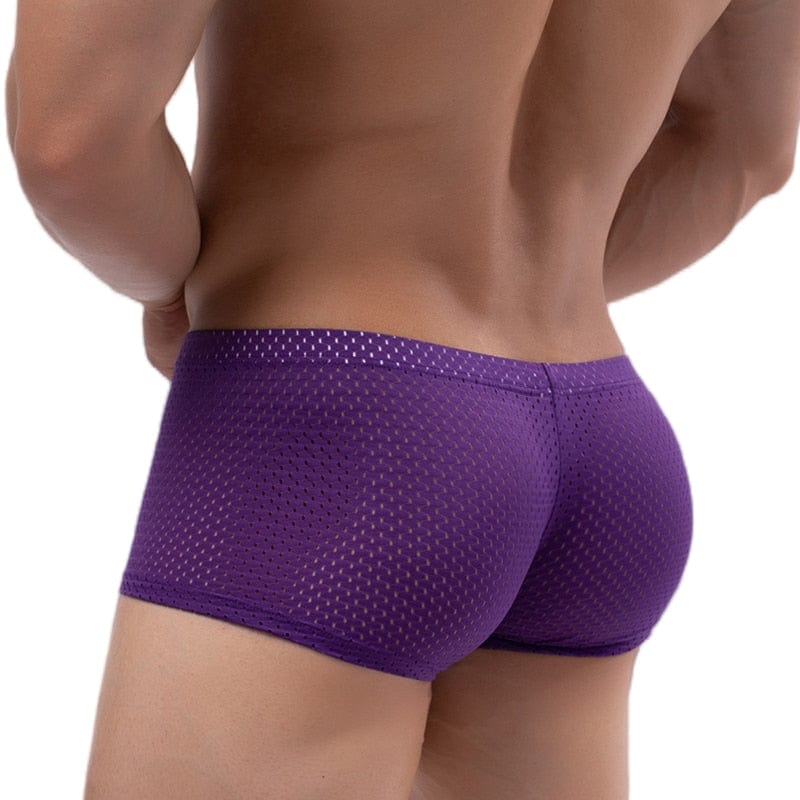 
                  
                    Purple / M - (27-30") Breathable Mesh Shorts Boxers Briefs INVI-Expressionwear
                  
                