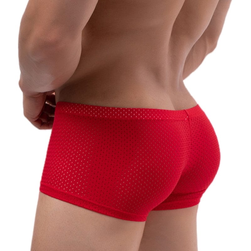 
                  
                    Red / M - (27-30") Breathable Mesh Shorts Boxers Briefs INVI-Expressionwear
                  
                