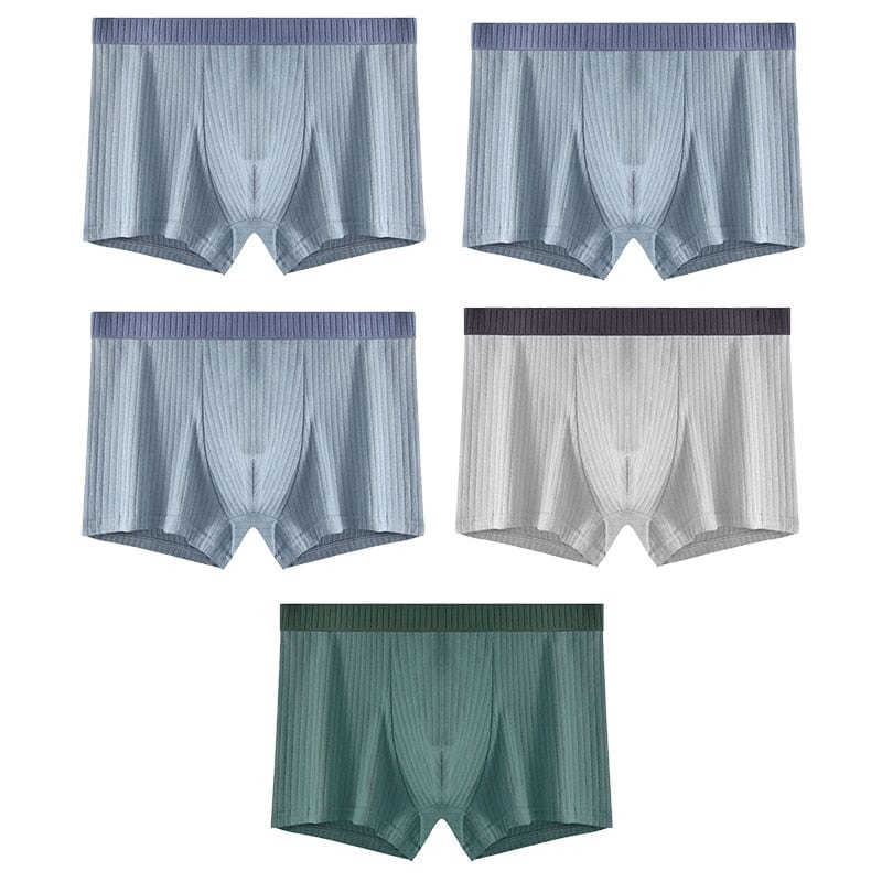
                  
                    Style 11 - (3) Light Blue; Light Grey; Dark Green / XS - (28-30") / 5 pcs 5 Pack Ribbed Cotton Boxer Briefs INVI-Expressionwear
                  
                