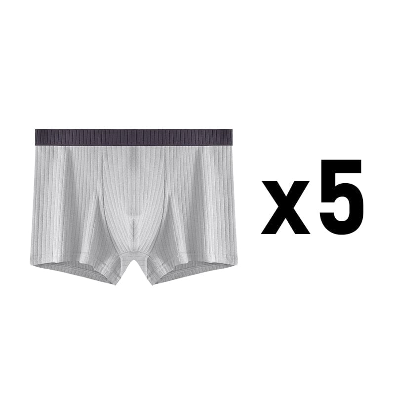
                  
                    Style 16 - (5) Light Grey / XS - (28-30") / 5 pcs 5 Pack Ribbed Cotton Boxer Briefs INVI-Expressionwear
                  
                