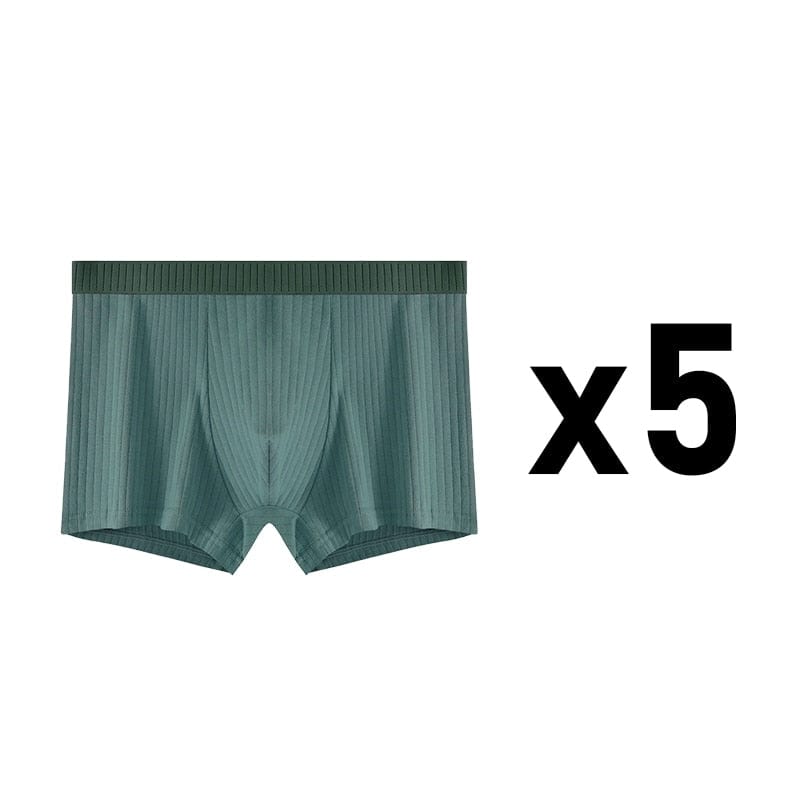 
                  
                    Style 18 - (5) Dark Green / S - (30-32") / 5 pcs 5 Pack Ribbed Cotton Boxer Briefs INVI-Expressionwear
                  
                
