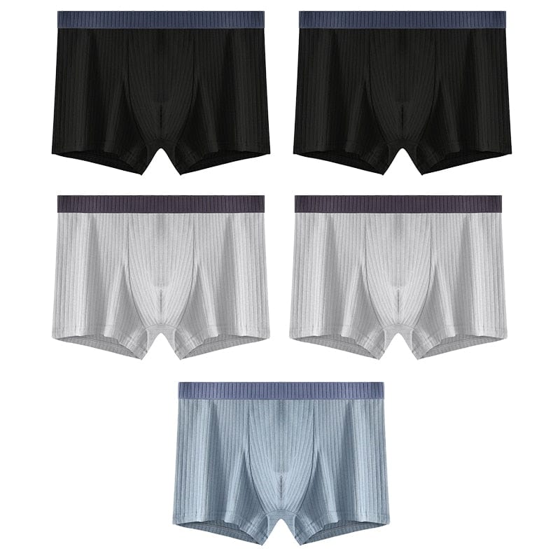
                  
                    Style 9 - (2) Light Grey; (2) Black; Light Blue / XS - (28-30") / 5 pcs 5 Pack Ribbed Cotton Boxer Briefs INVI-Expressionwear
                  
                