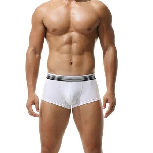 
                  
                    White / M - US size 28-30" Men's Low Waist Boxer Sports Briefs INVI-Expressionwear
                  
                