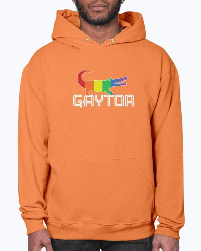
                  
                    Sweatshirts Burnt Orange / S GAYTOR Hoodie INVI-Expressionwear
                  
                